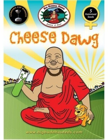 Cheese Dawg - Big Buddha Seeds femminizzati Big Buddha Seeds €35,00