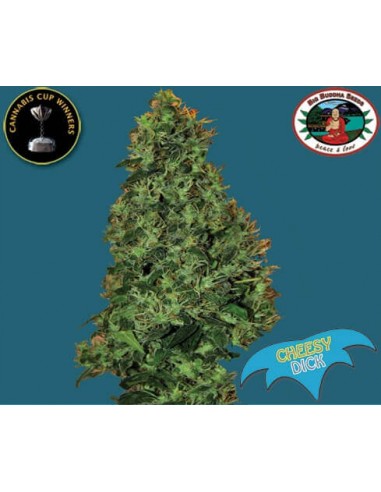 Cheesy Dick - Big Buddha Seeds femminizzati Big Buddha Seeds €35,00