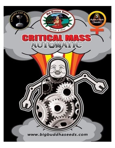 Critical Mass Auto - Big Buddha Seeds femminizzati Big Buddha Seeds €35,00