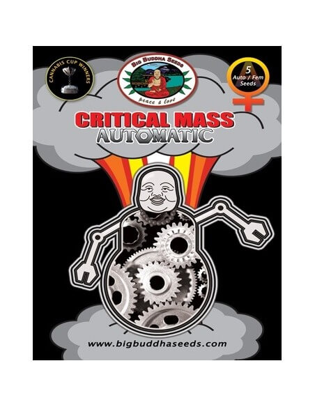 Critical Mass Auto - Big Buddha Seeds femminizzati Big Buddha Seeds €35,00