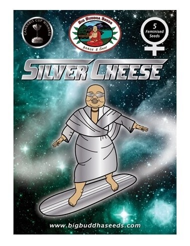 Silver Cheese - Big Buddha Seeds femminizzati Big Buddha Seeds €35,00