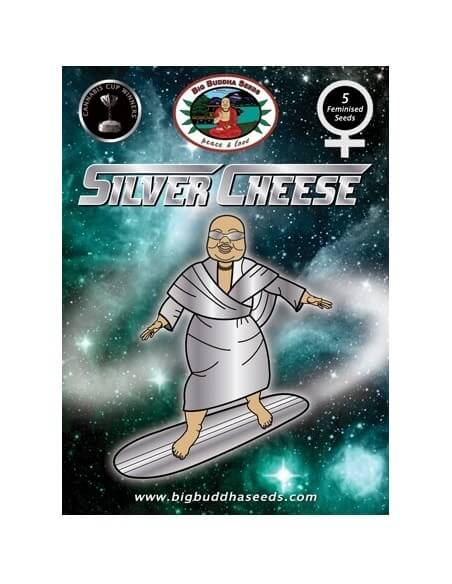 Silver Cheese - Big Buddha Seeds femminizzati Big Buddha Seeds €35,00
