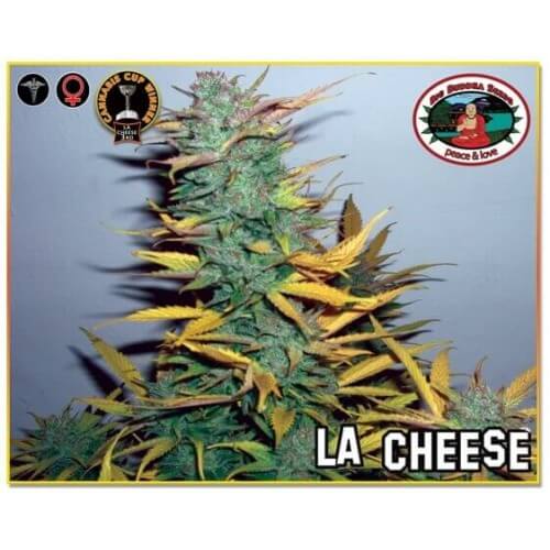 L.A. Cheese - Big Buddha Seeds femminizzati Big Buddha Seeds €35,00