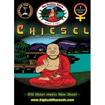 Chiesel - Big Buddha Seeds femminizzati Big Buddha Seeds €35,00 2
