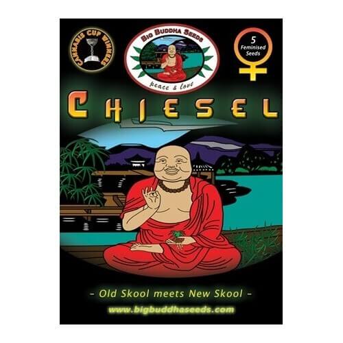 Chiesel - Big Buddha Seeds femminizzati Big Buddha Seeds €35,00