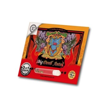 Big Devil Auto - Sweet Seeds femminizzati Sweet Seeds €22,90 2