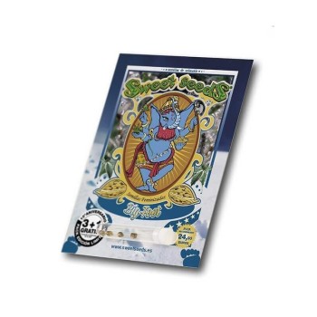 Big Foot - Sweet Seeds femminizzati Sweet Seeds €27,90 2