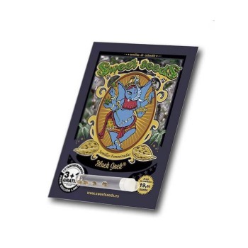 Black Jack - Sweet Seeds femminizzati Sweet Seeds €22,50 2