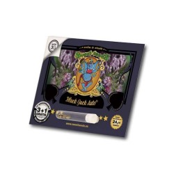 Black Jack Auto - Sweet Seeds femminizzati Sweet Seeds €27,00