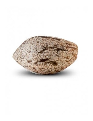 Toxic - Ripper Seeds femminizzati Ripper Seeds €18,00