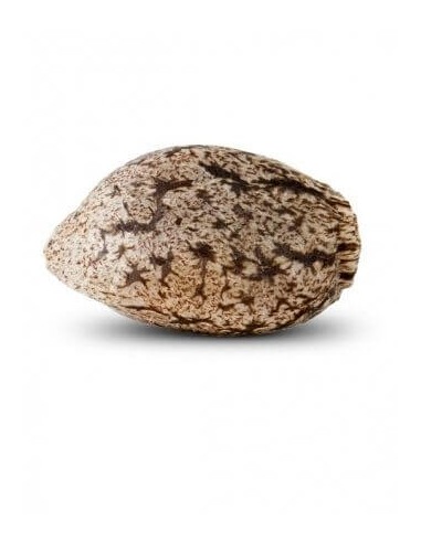 Black Valley - Ripper Seeds femminizzati Ripper Seeds €18,00