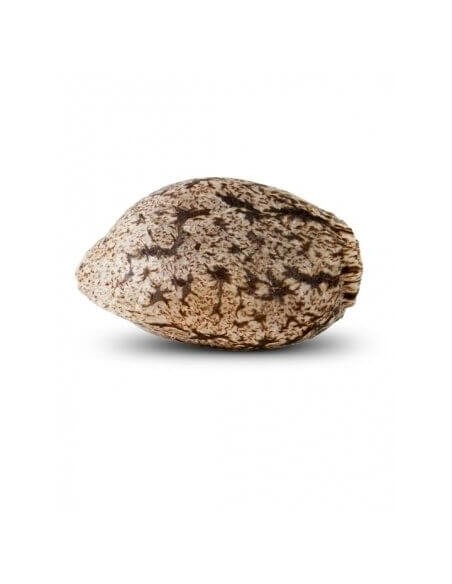 Black Valley - Ripper Seeds femminizzati Ripper Seeds €18,00