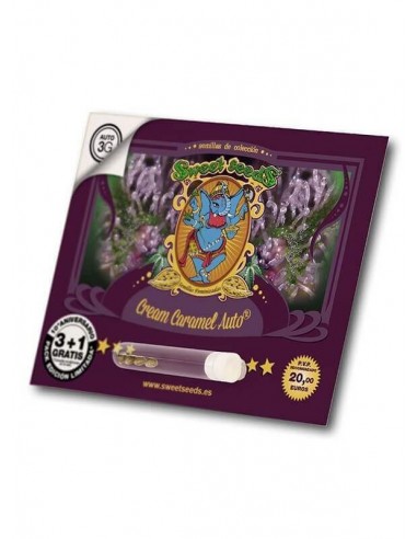 Cream Caramel Auto - Sweet Seeds femminizzati Sweet Seeds €23,00