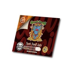 Dark Devil Auto - Sweet Seeds femminizzati Sweet Seeds €27,90 Dark Devil Auto - Sweet Seeds femminizzati Sweet Seeds €27,90