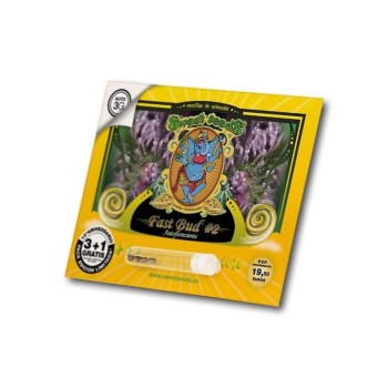 Fast Bud 2 Auto - Sweet Seeds femminizzati Sweet Seeds €22,50 2