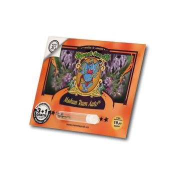Mohan Ram Auto - Sweet Seeds femminizzati Sweet Seeds €22,90 2