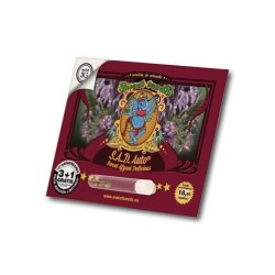 S.A.D. Auto - Sweet Seeds femminizzati Sweet Seeds €21,50