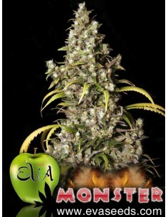 Monster - Eva Seeds femminizzati Eva Seeds €60,00