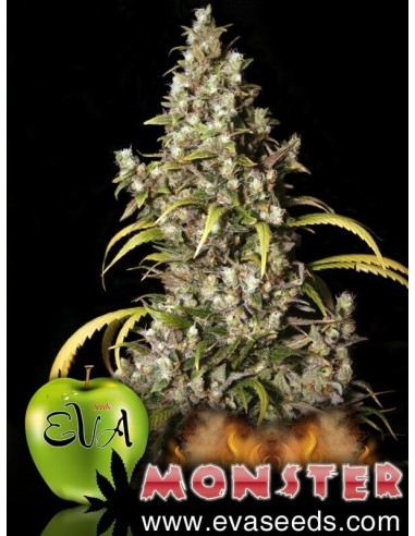 Monster - Eva Seeds femminizzati Eva Seeds €60,00