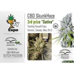 CBD Skunk Haze - Dutch Passion femminizzati Dutch Passion €27,00