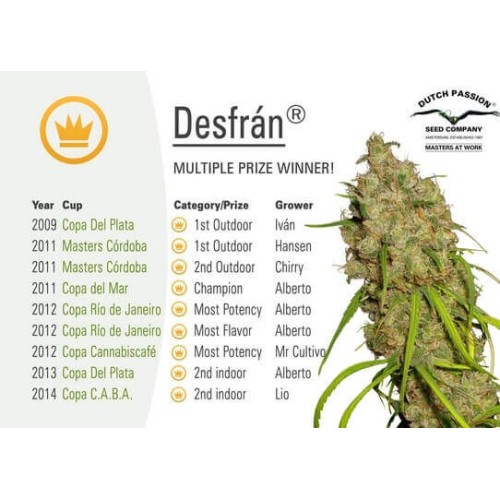 Desfrán - Dutch Passion femminizzati Dutch Passion €29,00