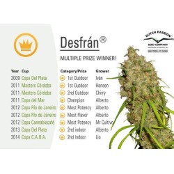 Desfrán - Dutch Passion femminizzati Dutch Passion €29,00