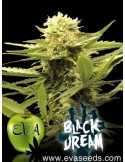 Black Dream - Eva Seeds femminizzati Eva Seeds €23,00