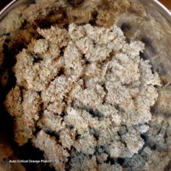 Auto Critical Orange Punch - Dutch Passion femminizzati Dutch Passion €16,95