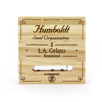L.A. Gelato - Humboldt Seed Organization femminizzati Humboldt Seed Organization €91,00 2