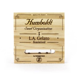 L.A. Gelato - Humboldt Seed Organization femminizzati Humboldt Seed Organization €91,00