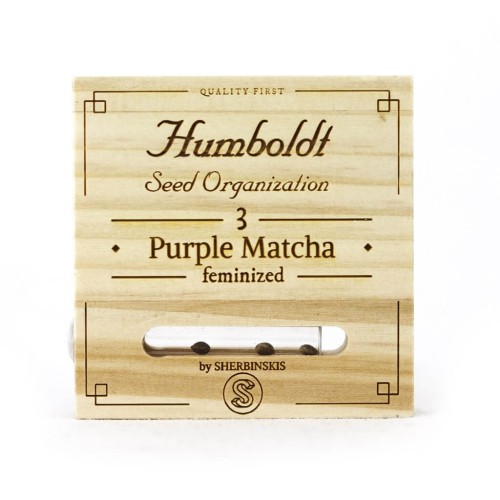 Purple Matcha - Humboldt Seed Organization femminizzati Humboldt Seed Organization €76,00