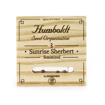 Sunrise Sherbert - Humboldt Seed Organization femminizzati Humboldt Seed Organization €85,00 2