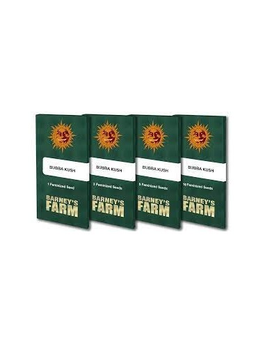 Bubba Kush - Barney's Farm femminizzati Barney's Farm €27,00