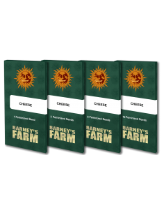 Cheese - Barney's Farm femminizzati Barney's Farm €30,00 2