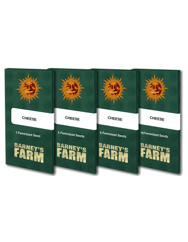 Cheese - Barney's Farm femminizzati Barney's Farm €30,00
