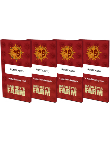 Runtz Auto - Barney's Farm femminizzati Barney's Farm €37,99