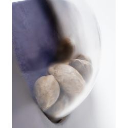 Northern Lights Automatic - Sensi Seeds femminizzati Sensi Seeds €23,00