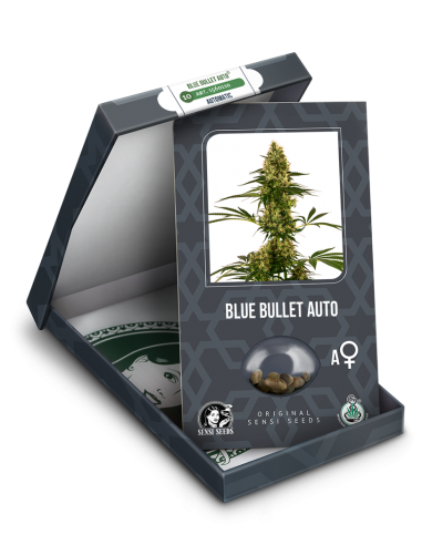 Blue Bullet Automatic - Sensi Seeds femmiizzati Sensi Seeds €21,50
