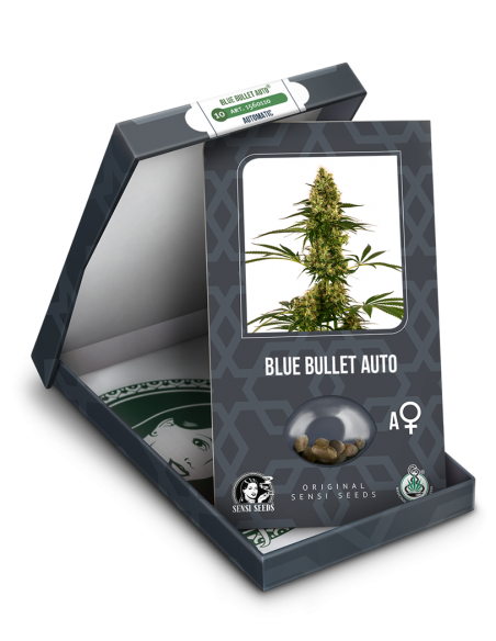 Blue Bullet Automatic - Sensi Seeds femmiizzati Sensi Seeds €21,50