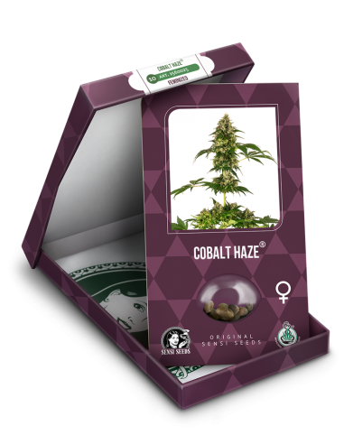 Cobalt Haze - Sensi Seeds femminizzati Sensi Seeds €19,50