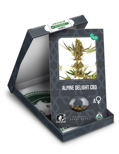 Alpine Delight CBD Automatic - Sensi Seeds femminizzati Sensi Seeds €31,50