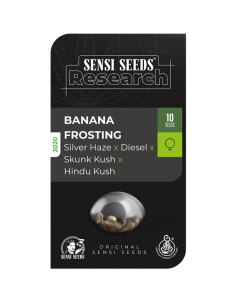 Banana Frosting - Sensi Seeds femminizzata Sensi Seeds €16,25 2