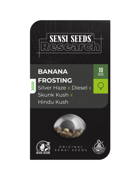 Banana Frosting - Sensi Seeds femminizzata Sensi Seeds €16,25 Banana Frosting - Sensi Seeds femminizzata Sensi Seeds €16,25