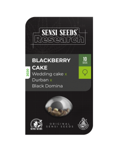 Blackberry Cake - Sensi Seeds femminizzata Sensi Seeds €17,50 2