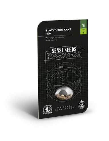 Blackberry Cake - Sensi Seeds femminizzata Sensi Seeds €17,50