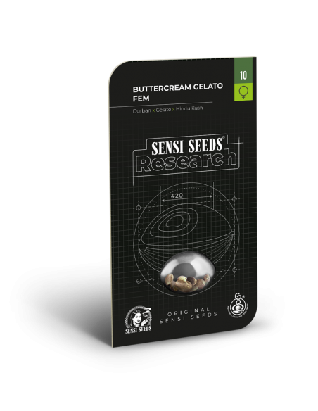 Buttercream Gelato - Sensi Seeds femminizzati Sensi Seeds €18,75