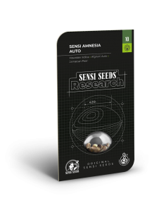 Sensi Amnesia Auto - Sensi Seeds femminizzati Sensi Seeds €23,50 2