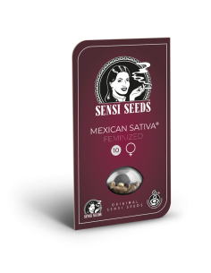 Mexican Sativa - Sensi Seeds femminizzati Sensi Seeds €25,00 2