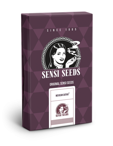 Mexican Sativa - Sensi Seeds femminizzati Sensi Seeds €25,00