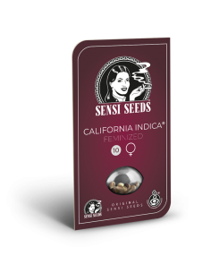 California Indica - Sensi Seeds femminizzati Sensi Seeds €32,50 2